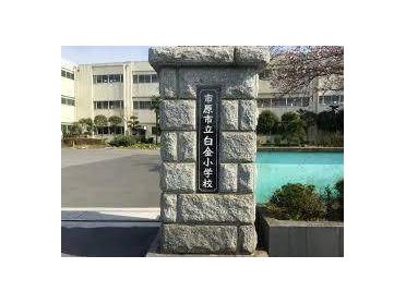 市原市立白金小学校：638m