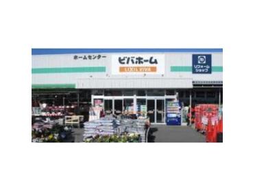 ビバホーム長浦店：990m