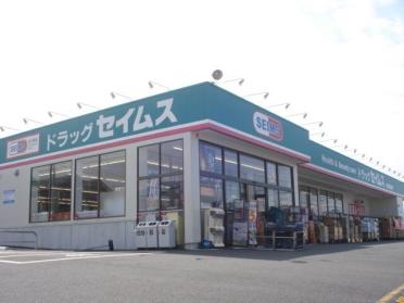 ドラッグセイムス木更津請西南店：593m