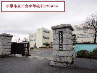 市原市立白金小学校：604m