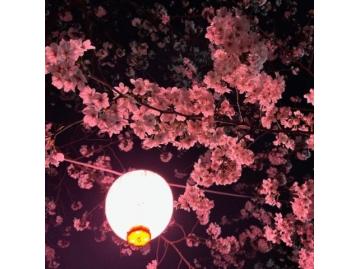私の営業スタイル