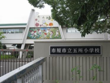 市原市立五所小学校：428m