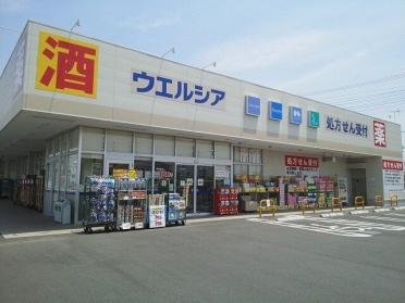 ウエルシア市原五井中央店：1000m