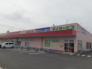 ヤックスドラック木更津江川店：700m