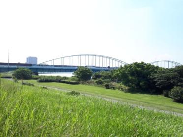 多摩川大橋緑地：1879m