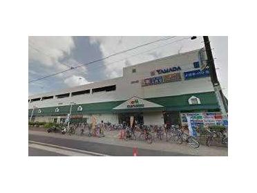 ヤマダデンキテックランド大田糀谷店：561m