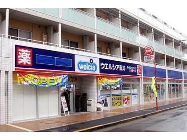 ウエルシア大田萩中2号店：481m