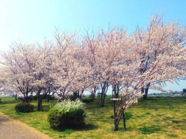 さくら堤公園まで1600ｍ