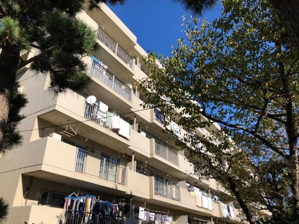 バルコニー側外観です。