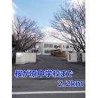 桜が原中学校まで2200m