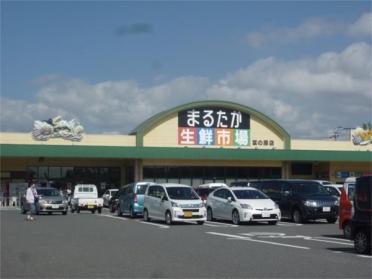 まるたか生鮮市場 富の原店：1425m