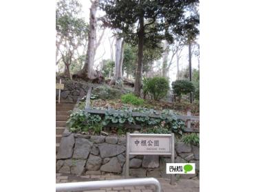 中根公園：576m