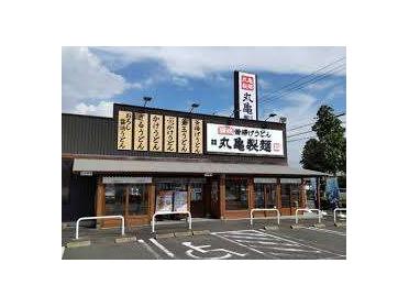 丸亀製麺当知店：308m