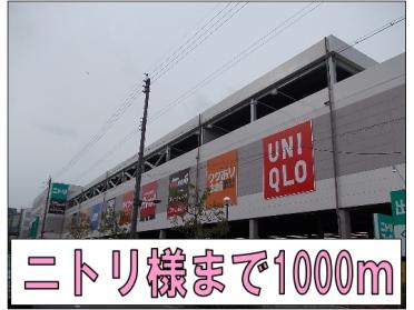 ニトリ様：1000m