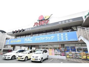 ハックドラッグ緑園都市店：290m