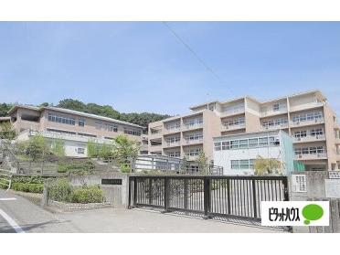 倉敷市立多津美中学校：1194m