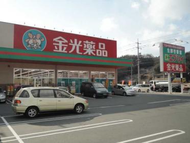 金光薬品倉敷林店（ドラッグストア）：800m