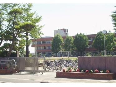 東金市立城西小学校：300m