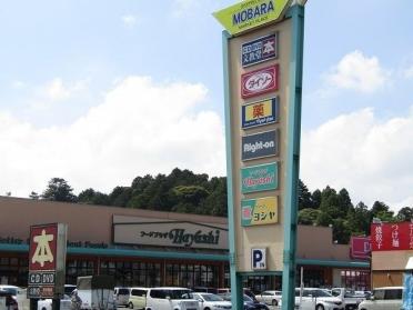 フードプラザハヤシ本店：1334m