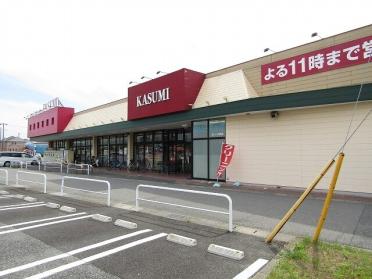 カスミ大芝店：550m