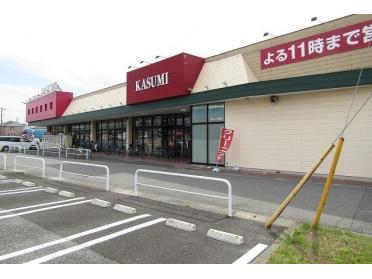 カスミ大芝店：650m