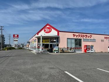 ヤックスドラッグ　茂原早野店：50m