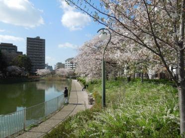 桃ケ池公園：618m