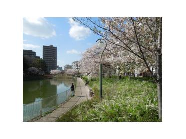 桃ケ池公園：400m