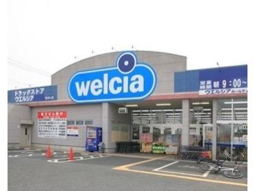 ウエルシア守谷松並店：262m