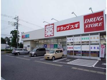 ドラッグスギ天川大島店：600m