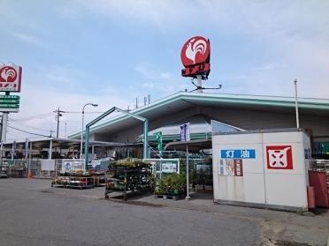 コメリハード＆グリーン伊勢崎店：800m