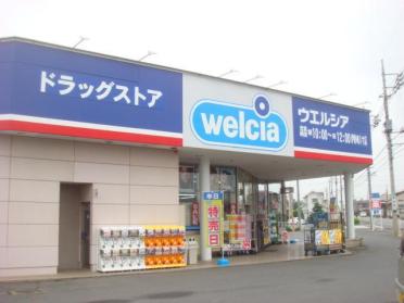 ウエルシア伊勢崎八寸店：1516m