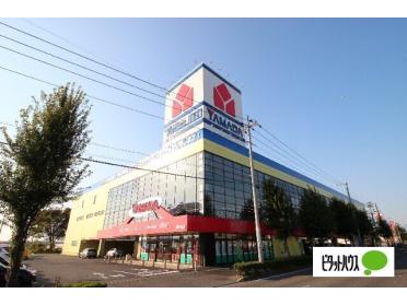 ヤマダデンキテックランド伊勢崎店：895m