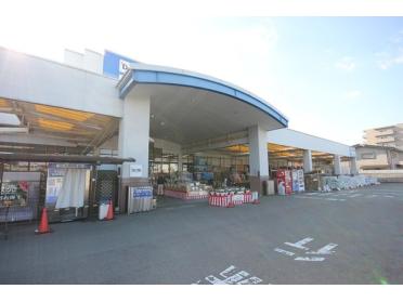 DCMダイキ万代店：2323m