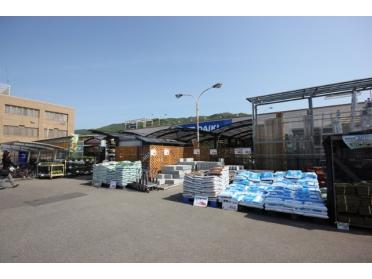 DCMダイキ徳島西店：2030m