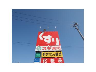 スギ薬局幸田店：588m