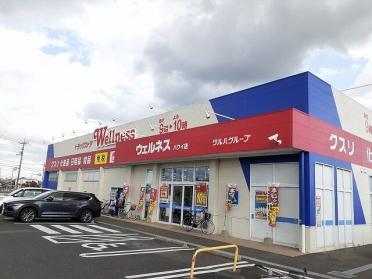 ウェルネスハワイ店：750m