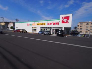 スギドラッグ東栄店：706m