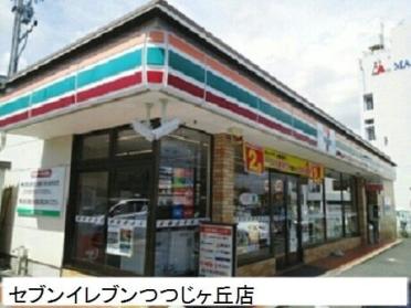 セブンイレブン豊橋つつじヶ丘店：600m