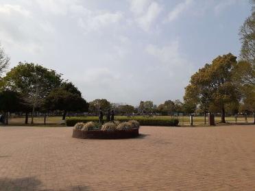 美薗中央公園：550m