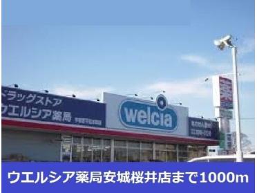 ウエルシア薬局安城桜井店：1000m