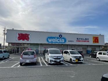 ウエルシア豊橋東森岡店：770m