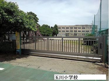 玉川小学校：1600m