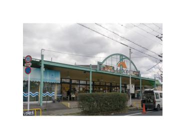 A・COOP京都男山店：552m