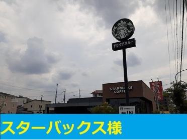 スターバックス様：824m