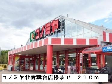 コノミヤ北青葉台店様：210m