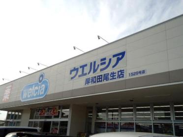 ウエルシア岸和田尾生店：416m