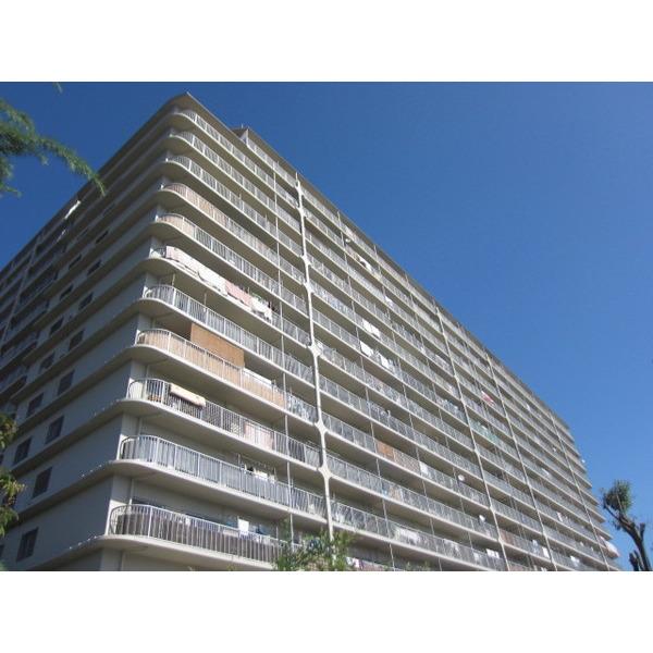 南向きのため日当たり良好