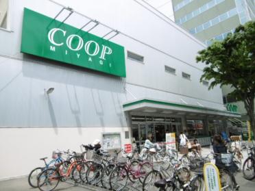 COOP　MIYAGI柏木店：319m