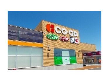 コープいしかわ店：800m